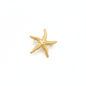 Broche Étoile d'Oria