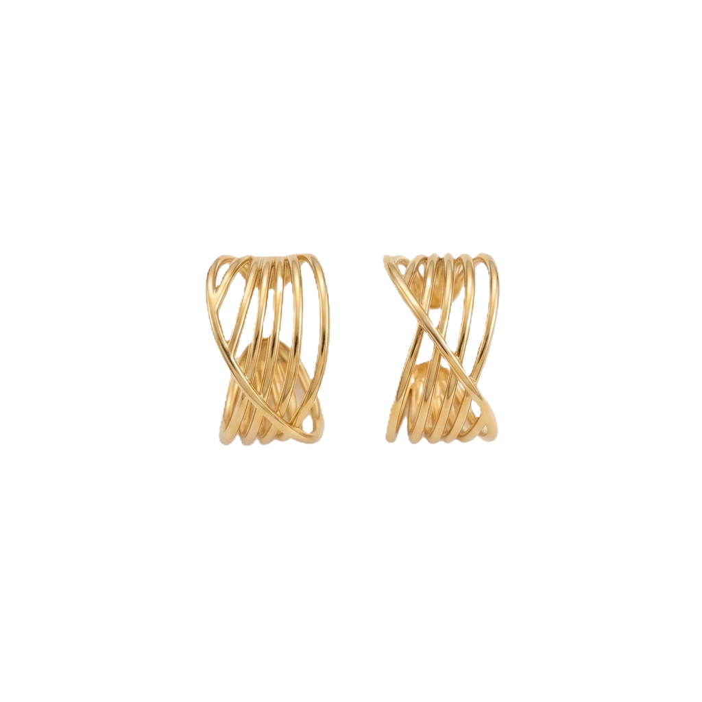 Boucles d'oreilles Élégance Entrelacée